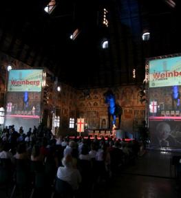 Realizzazione impiantistica audio luci per convention Weinberg Padova