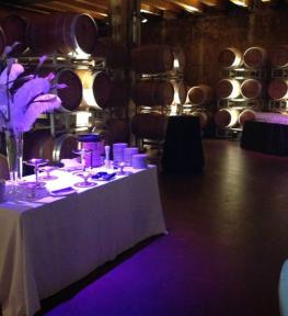 Evento aziendale con meeting con allestimento illuminotecnico