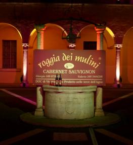 Realizzazione illuminazione artistica Verona con cambio colore