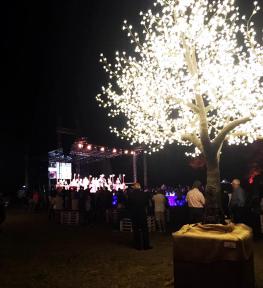 Service luce completo per evento Maravilia Festival 2017